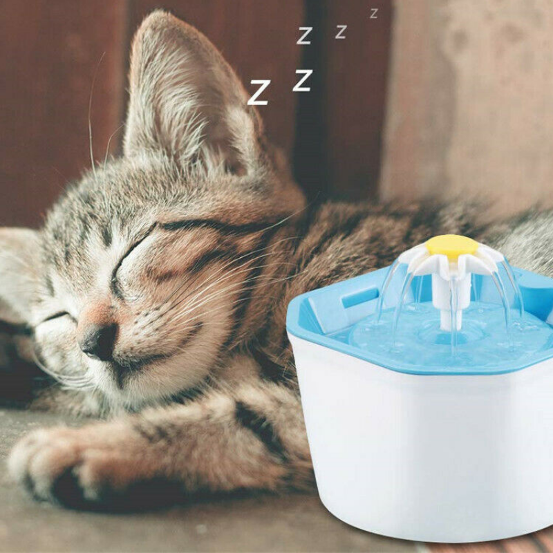 Premium Electric Cat Drinking Water Dispenser Fountain