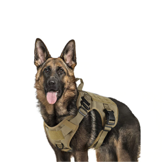 Heavy Duty Tactical No Pull Dog Harness Vest | Zincera